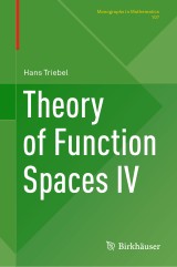 Theory of Function Spaces IV
