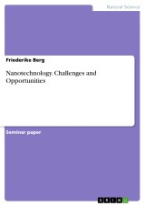 Nanotechnology. Challenges and Opportunities