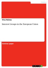 Interest Groups in the European Union