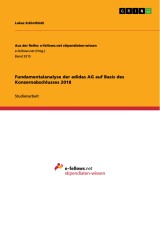 Fundamentalanalyse der adidas AG auf Basis des Konzernabschlusses 2018