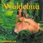 Waldelina (Oder "De verwunschnig Wald") [Dialekt-Märchenmusical]