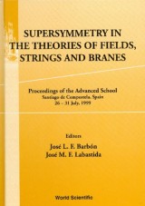 Supersymmetry In The Theories Of Fields, Strings & Branes, Procs Of The Advanced School
