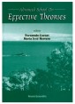 Effective Theories - Proceedings Of The Advanced School