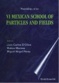 Particles And Fields - Proceedings Of The Vi Mexican School