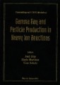Gamma Ray And Particle Production In Heavy Ion Reactions - Proceedings Of Ii Taps Workshop