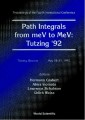 Path Integrals From Mev To Mev : Tutzing '92 - Proceedings Of The Fouth International Conference