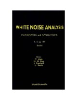 White Noise Analysis: Mathematics And Applications