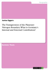 The Transgression of the Planetary Nitrogen Boundary. What is Germany's Internal and External Contribution?