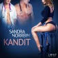 Kandit - eroottinen novelli