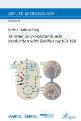 Tailored poly-γ-glutamic acid production with Bacillus subtilis 168