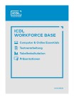 ICDL Workforce Base