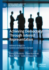 Achieving Democracy Through Interest Representation