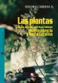 Las plantas y sus usos en las islas de Providencia y Santa Catalina