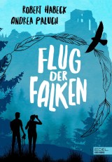 Flug der Falken