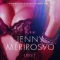 Jenny Merirosvo - eroottinen novelli