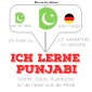 Ich lerne Punjabi