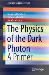 The Physics of the Dark Photon