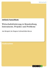 Wirtschaftsförderung in Brandenburg. Instrumente, Projekte und Probleme