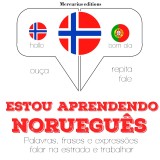 Estou aprendendo norueguês