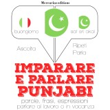 Imparare & parlare punjabi
