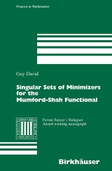 Singular Sets of Minimizers for the Mumford-Shah Functional