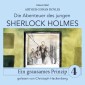 Sherlock Holmes: Ein grausames Prinzip