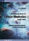 Introduction to Cellular Biophysics, Volume 2