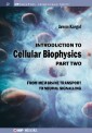 Introduction to Cellular Biophysics, Volume 2