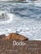 Dodo: the Unflighted Swine