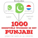 1000 essentiële woorden in het Punjabi