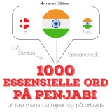 1000 essentielle ord i Penjabi