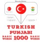 Türkçe - Pencapça: 1000 temel kelime