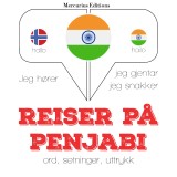 Reiser på penjabi