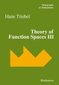 Theory of Function Spaces III