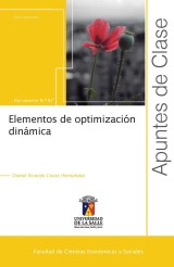 Elementos de optimización dinámica