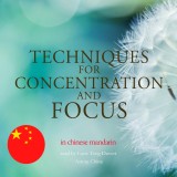 Techniques for concentration and focus in chinese mandarin