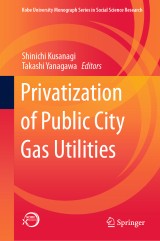 Privatization of Public City Gas Utilities