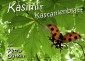 Kasimir Kastanienblatt