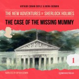 The Case of the Missing Mummy