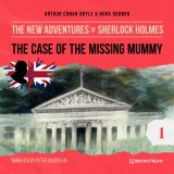 The Case of the Missing Mummy