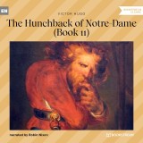 The Hunchback of Notre-Dame - Book 11
