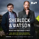 Sherlock & Watson - Neues aus der Baker Street: Die Bestie von Grimpen oder Der Hund der Baskervilles (Fall 8)