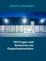 100 Fragen und Antworten zur Organisationslehre