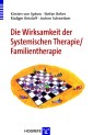 Die Wirksamkeit der Systemischen Therapie/Familientherapie