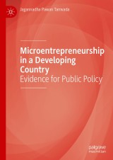 Microentrepreneurship in a Developing Country