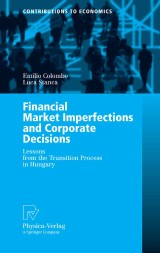 Financial Market Imperfections and Corporate Decisions