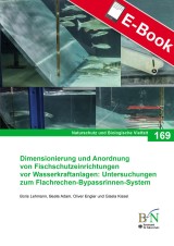 Dimensionierung und Anordnung von Fischschutzeinrichtungen vor Wasserkraftanlagen