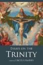 Essays on the Trinity