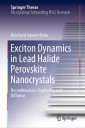 Exciton Dynamics in Lead Halide Perovskite Nanocrystals