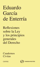 Reflexiones sobre la Ley y los principios generales del Derecho